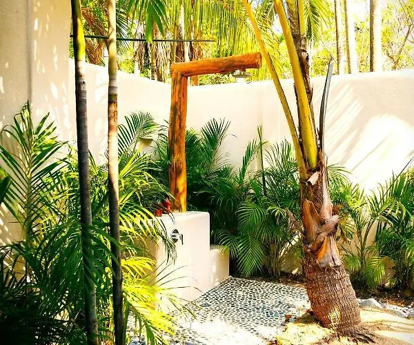 Casa Gatas * Zihuatanejo