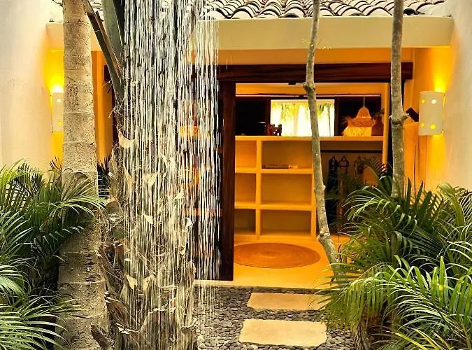 Casa Gatas Zihuatanejo